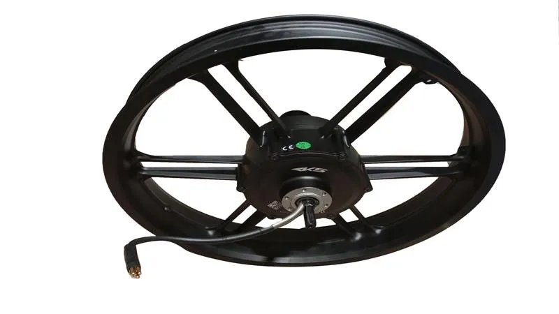 Ape Ryder COLOBUS Arka Jant ve Motor