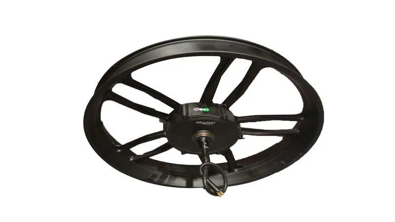 Skyjet ROBUSTO Arka Jant ve Motor