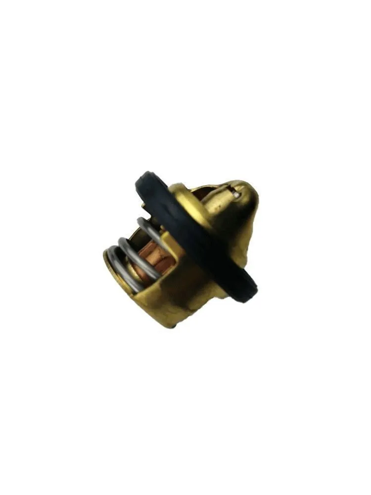 RKS SRK125-S Termostat