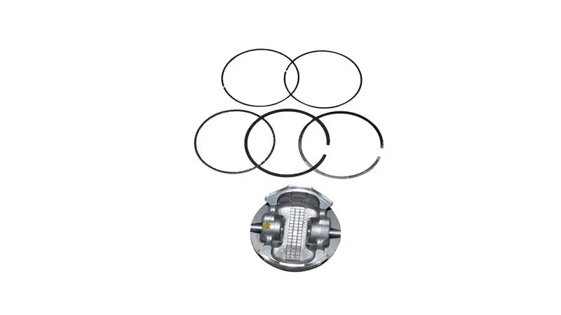RKS C1002V Piston Sekman Takım