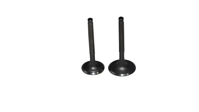 RKS DARKBLUE125 Üst Kapak Supabı Takım